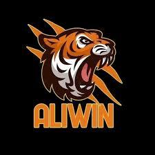 aliwin Premium - Free Download