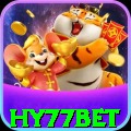 hy77bet Live Champion